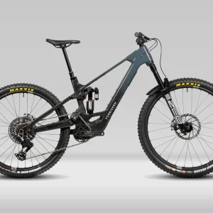 Forbidden Druid CorE