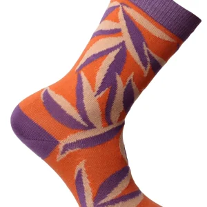 Tropic palm Strumpa Dam